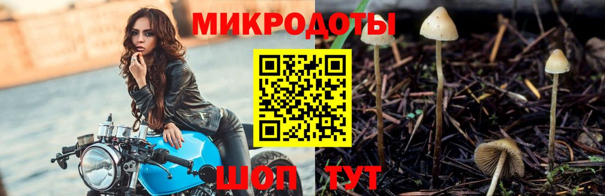 Галлюциногенные грибы Psilocybe Нефтекамск